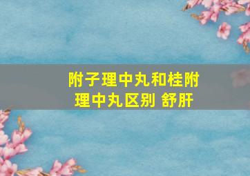 附子理中丸和桂附理中丸区别 舒肝